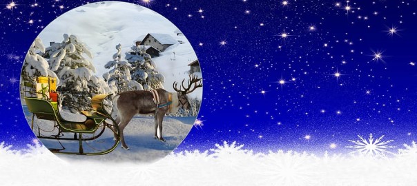 « Bon Cadeau » Noël 2019 / 20 Pensez y !!!