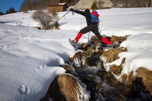 snow-shoe-hike-winter-snow-bach